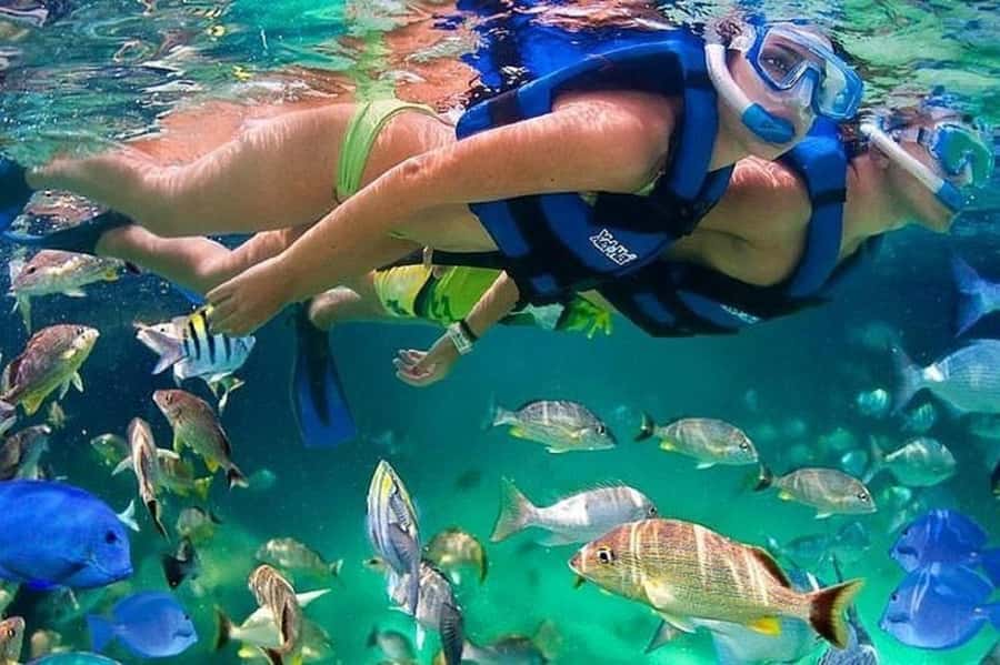 Cartagena: Raccoon Island Snorkel, Mangrove, Photos & Lunch - The early start from Cartagena