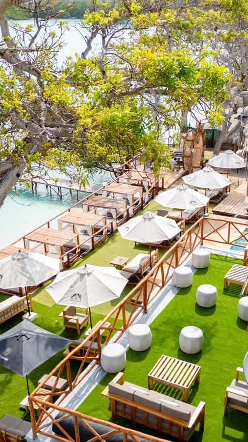 Cartagena: Rosario Islands Daypass Ibbiza Island Beach Club - Who Will Enjoy This Day Most
