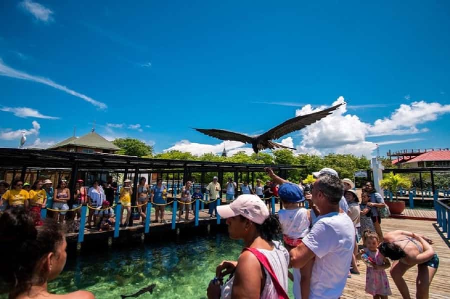 Cartagena: Rosario islands Playa Blanca Barù by boat & lunch - Key points to know before booking