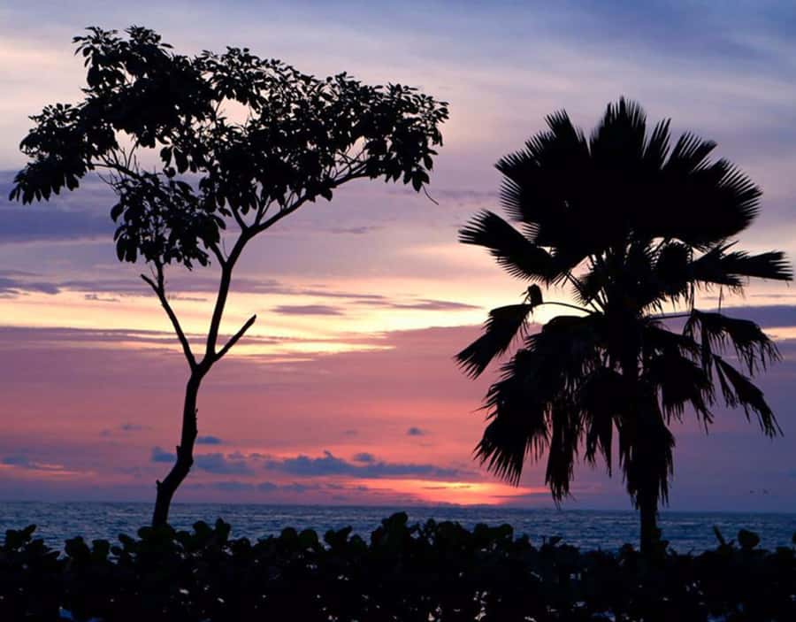Cartagena: Rosario Islands Private Boat Tour - My call: book it if private time matters most