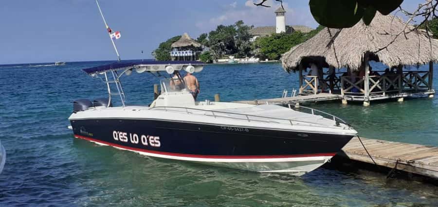 Cartagena: Rosario Islands Private Boat Tour - Who will enjoy this day most