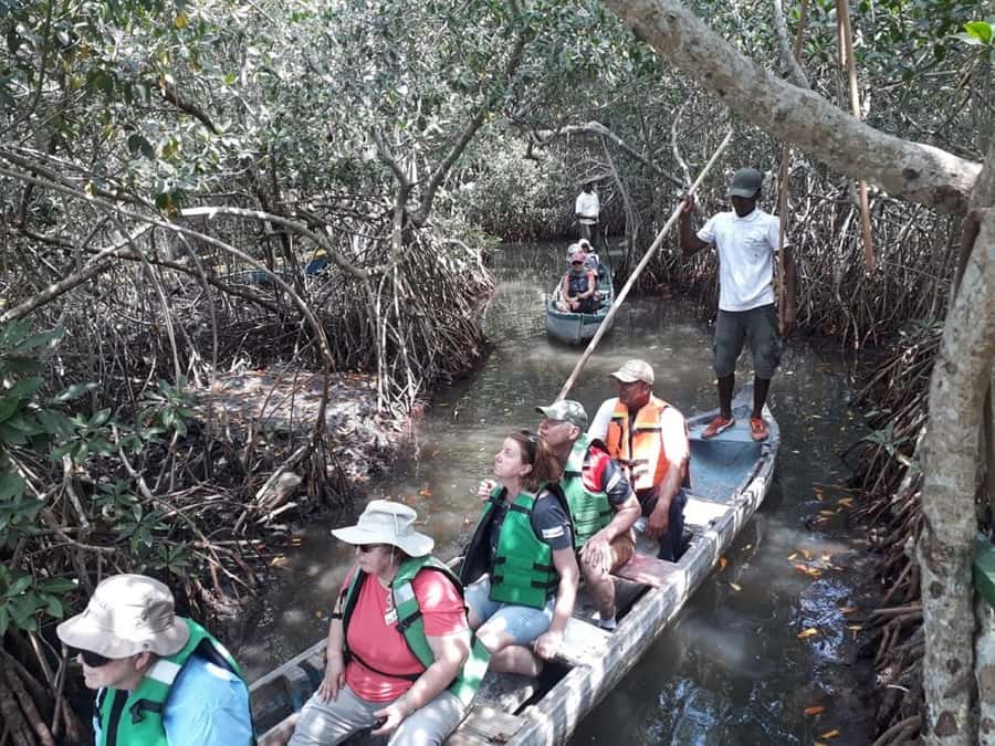 Cartagena: Sail in the mangroves of Cartagena - A quiet route through La Boquilla’s mangroves