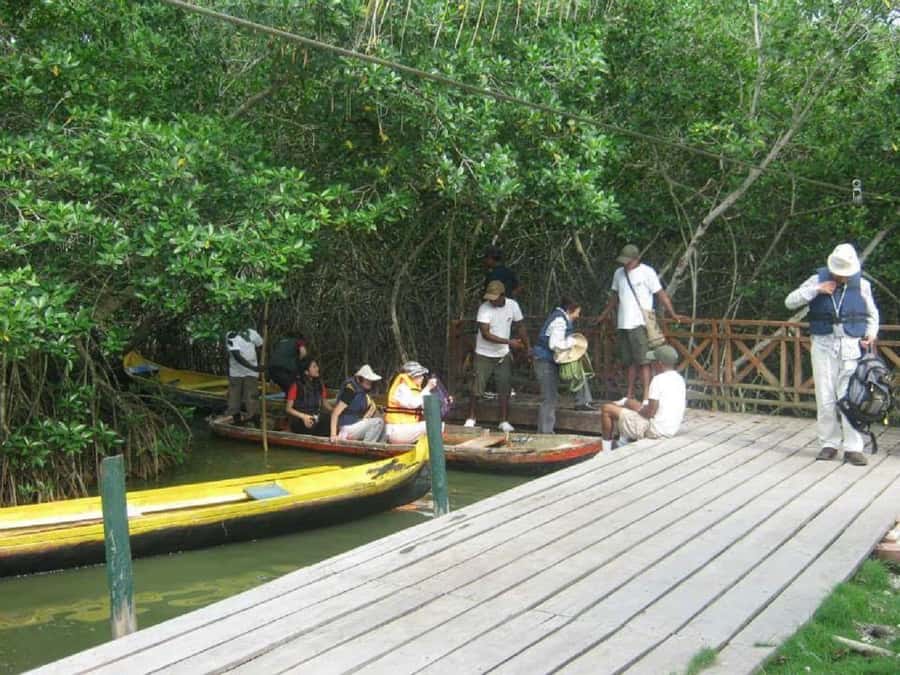 Cartagena: Sail in the mangroves of Cartagena - Getting to La Boquilla without stress
