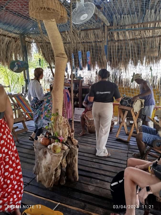 Cartagena: Sail in the mangroves of Cartagena - What to bring and what to expect on the water