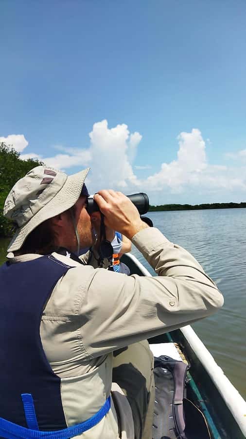 Cartagena: Sail in the mangroves of Cartagena - Booking advice for a smoother outing