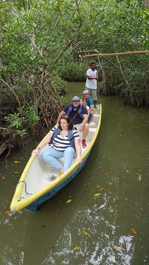 Cartagena: Sail in the mangroves of Cartagena - Three tunnels, three chances to watch wildlife