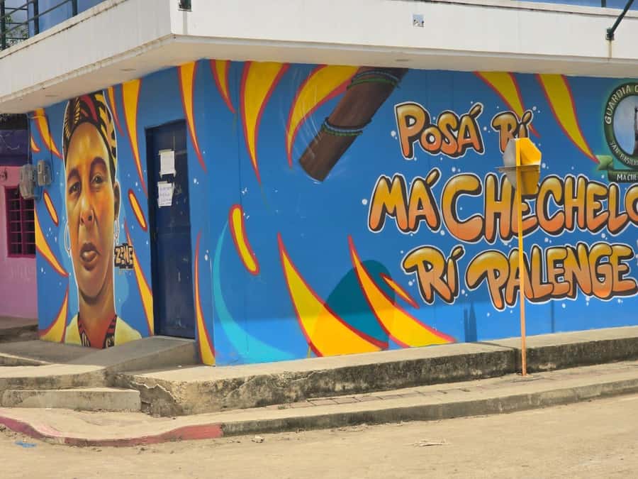 Cartagena: San Basilio de Palenque Guided Day Trip - The House Museum and the Story of Freedom