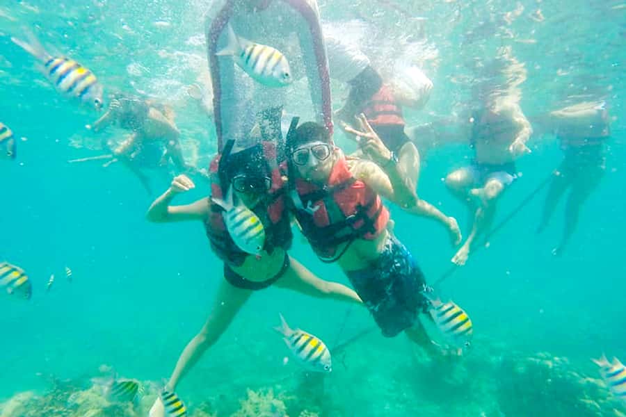 Cartagena: Snorkel, Mangroves and Playa Blanca Tour - Key points at a glance