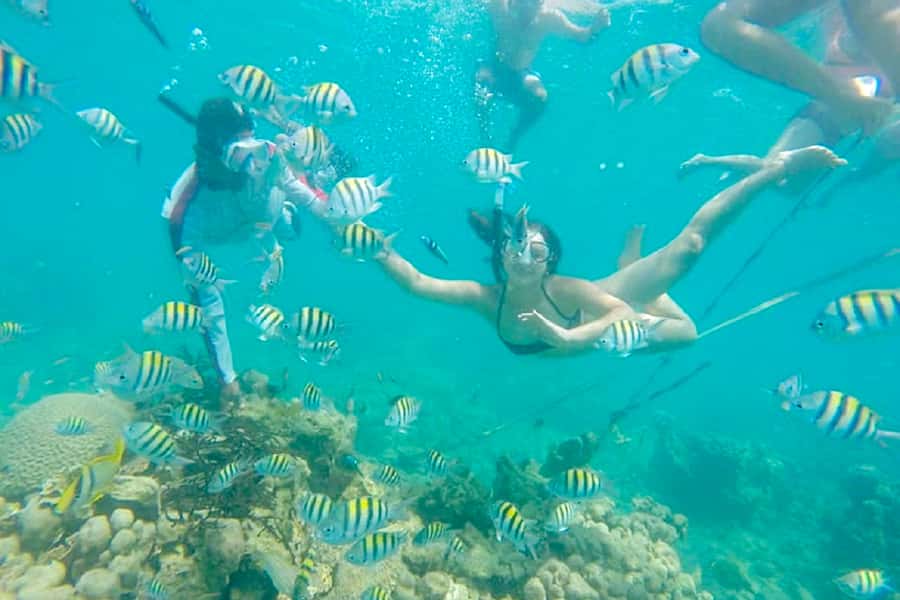 Cartagena: Snorkel, Mangroves and Playa Blanca Tour - What this Cartagena tour is really like