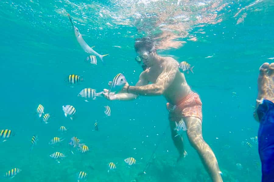 Cartagena: Snorkel, Mangroves and Playa Blanca Tour - Snorkeling over coral and fish