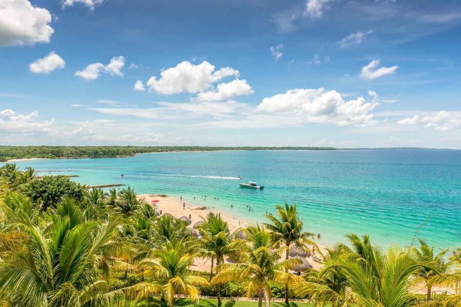 Cartagena: Snorkel, Mangroves and Playa Blanca Tour - The short mangrove trip