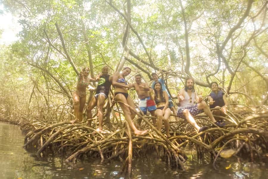 Cartagena: Snorkel, Mangroves and Playa Blanca Tour - Your 1.5 hours of beach time