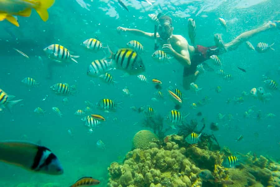 Cartagena: Snorkel, Mangroves and Playa Blanca Tour - The 3:30 PM return