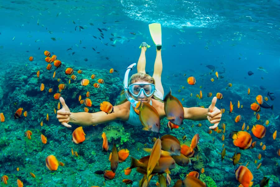 Cartagena: Snorkel, Mangroves and Playa Blanca Tour - The 7:30 AM departure and ride to Barú