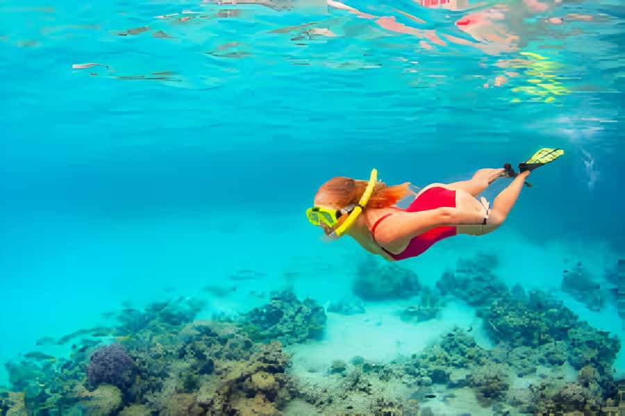 Cartagena: Tour to Playa Tranquila with Snorkeling + Luminous Plankton and Parasol - What the snorkeling stop is really like