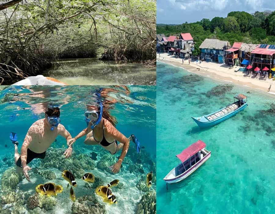 Cartagena: Visit 4 islands in a speedboat + plankton! - Key points to know before booking
