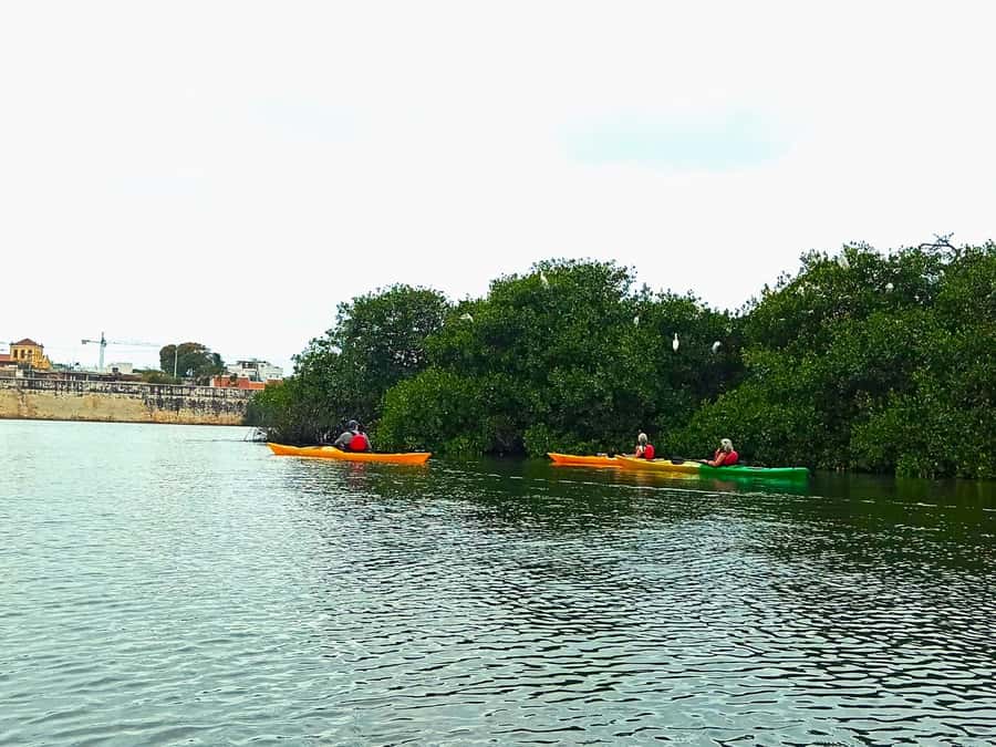 Cartagena: Walled City Kayak Tour - Bird’s Island and the mangrove finish