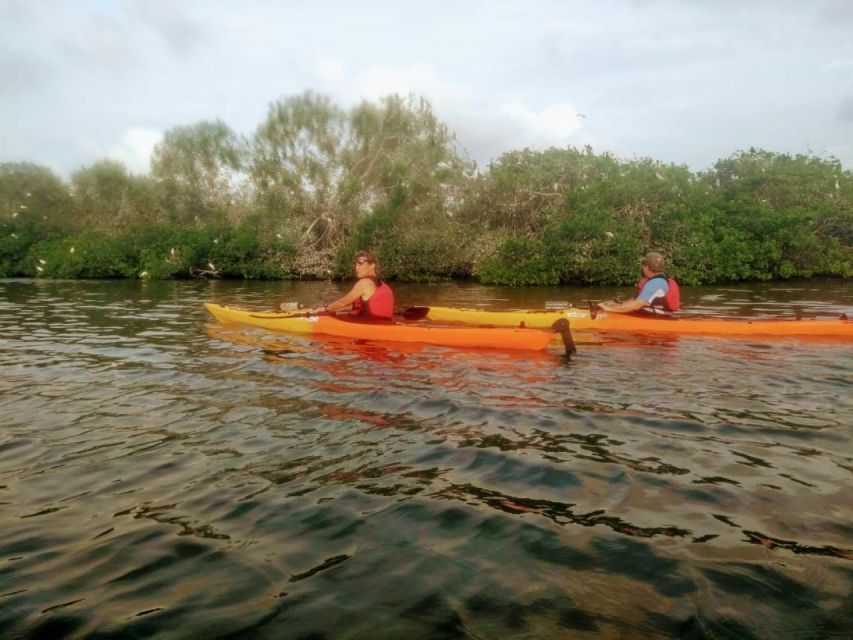 Cartagena: Walled City Kayak Tour - Returning to the Pastelillo pier