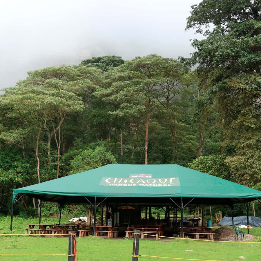 Chicaque Foggy Forest Hike - Leaving Bogotá for Chicaque’s mountain forest