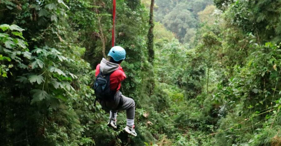 Chicaque Foggy Forest Hike - Birdlife, orchids, and the value of a local guide