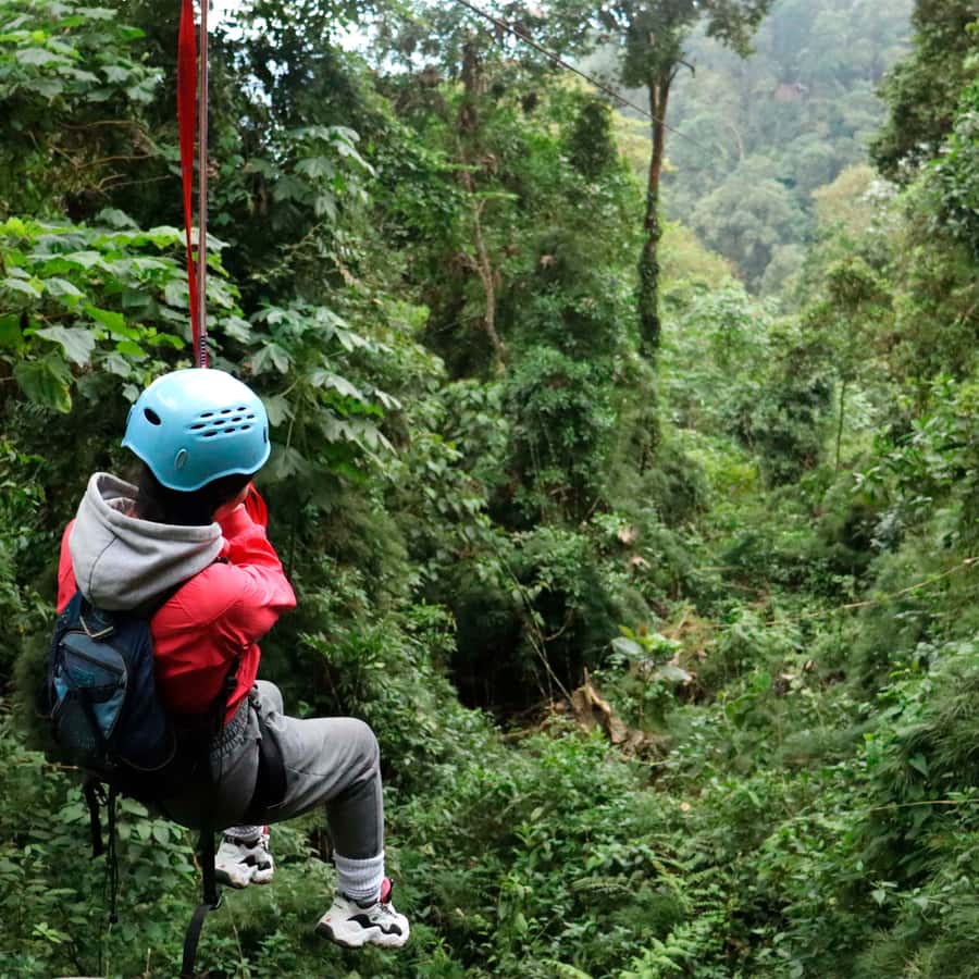 Chicaque Foggy Forest Hike - Should you book the Chicaque Foggy Forest Hike?