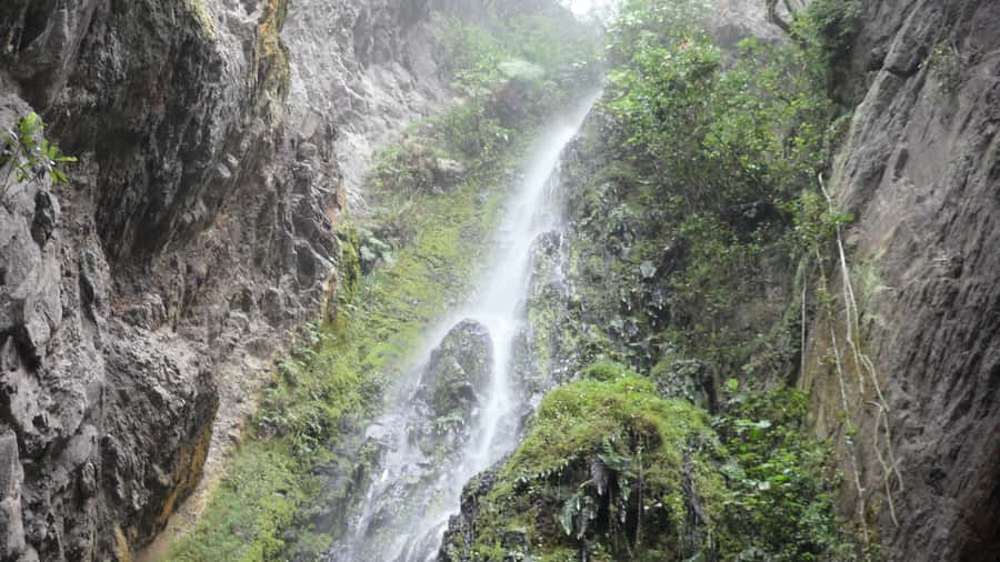 Chicaque Full-Day Trip from Bogotá - Key points to know before booking
