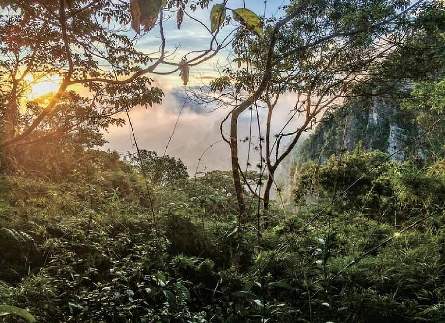 Chicaque Full-Day Trip from Bogotá - What five hours of hiking really means