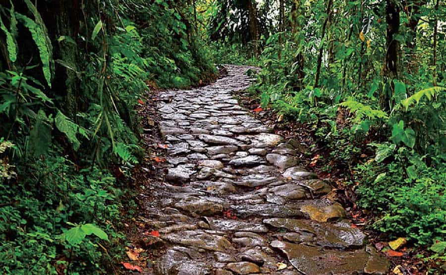 Chicaque Full-Day Trip from Bogotá - Is $197 a fair price?