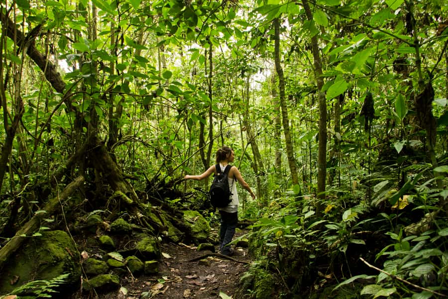 Chicaque Full-Day Trip from Bogotá - Choosing your route among nine trails