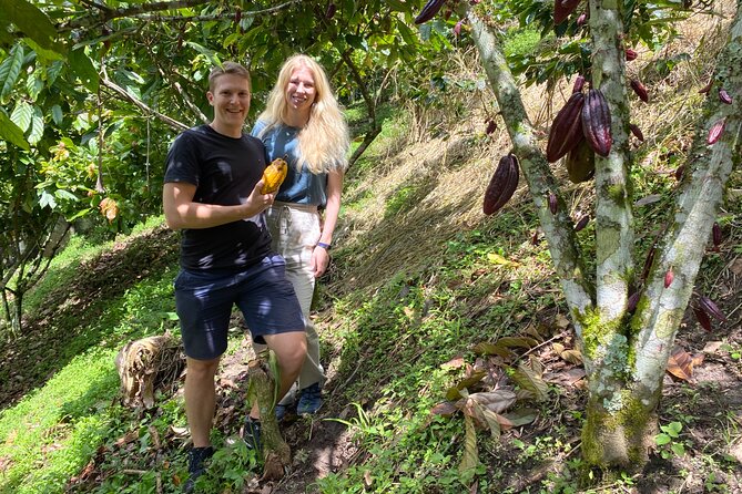 Chocolate tour near Medellin - From Medellín streets to a cocoa farm near Copacabana