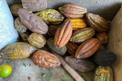 Chocolate tour near Medellin