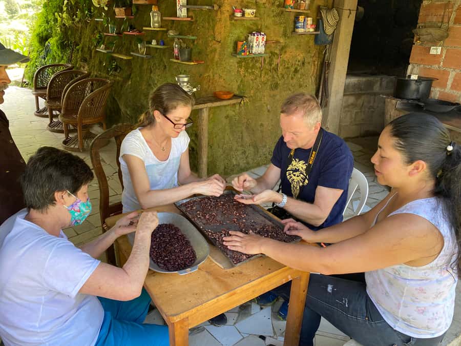 Chocolate tour near the Medellín - Key points at a glance