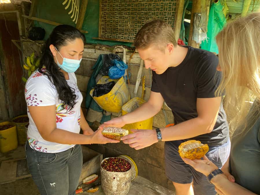Chocolate tour near the Medellín - From Medellín to a family farm near Barbosa