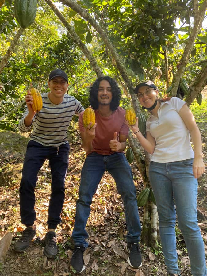 Chocolate tour near the Medellín - Making your own chocolate by hand