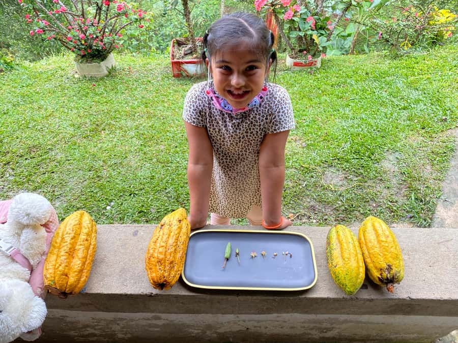 Chocolate tour near the Medellín - Who will enjoy this day most