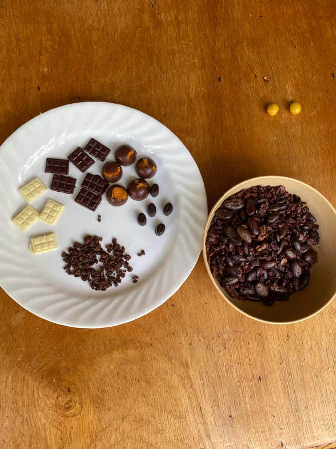 Chocolate tour near the Medellín - Practical tips for a smoother visit