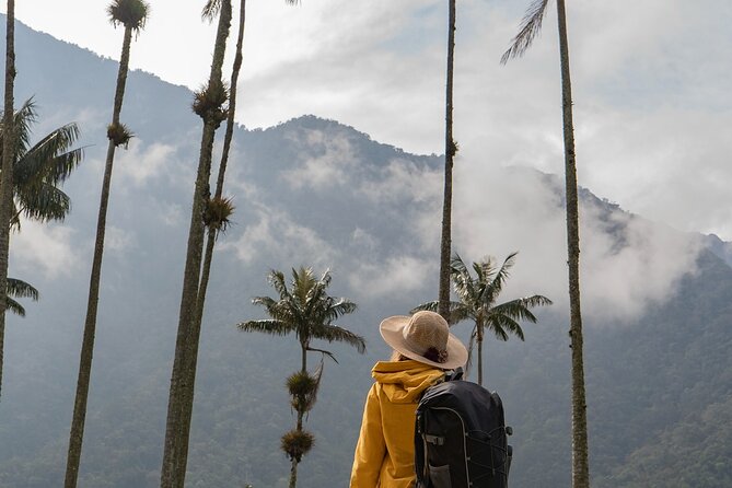 Cocora Valley and Salento Hike Tour - The Cocora Valley walk and its best viewpoints