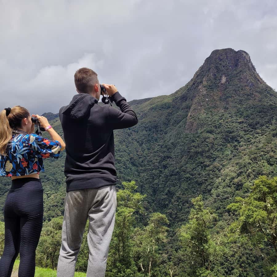 Cocora Valley: Route of the Hummingbirds + breakfast & lunch - Breakfast in Salento sets the tone