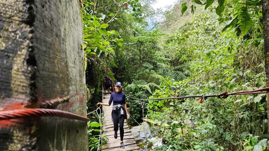 Cocora Valley: Route of the Hummingbirds + breakfast & lunch - The hummingbird house and careful birding