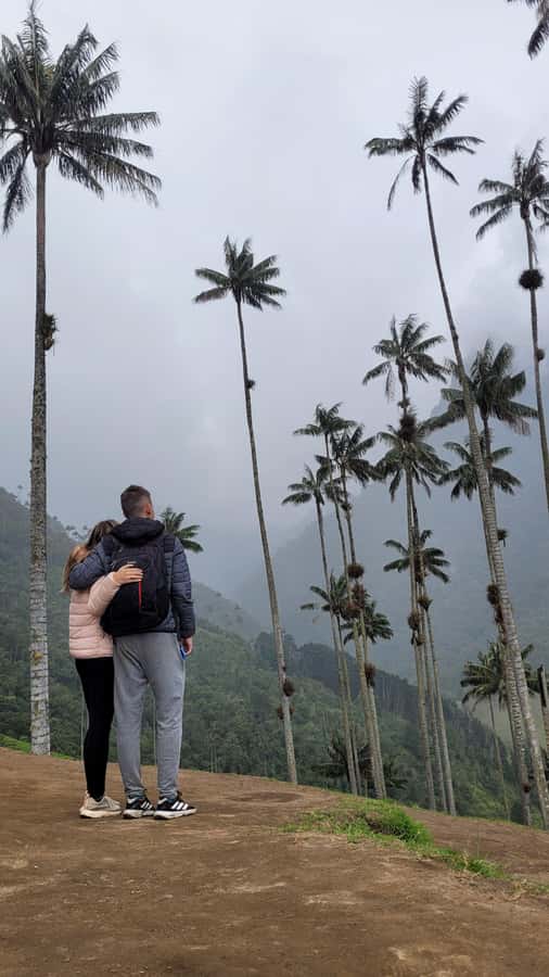 Cocora Valley: Route of the Hummingbirds + breakfast & lunch - Climbing toward Morrogacho