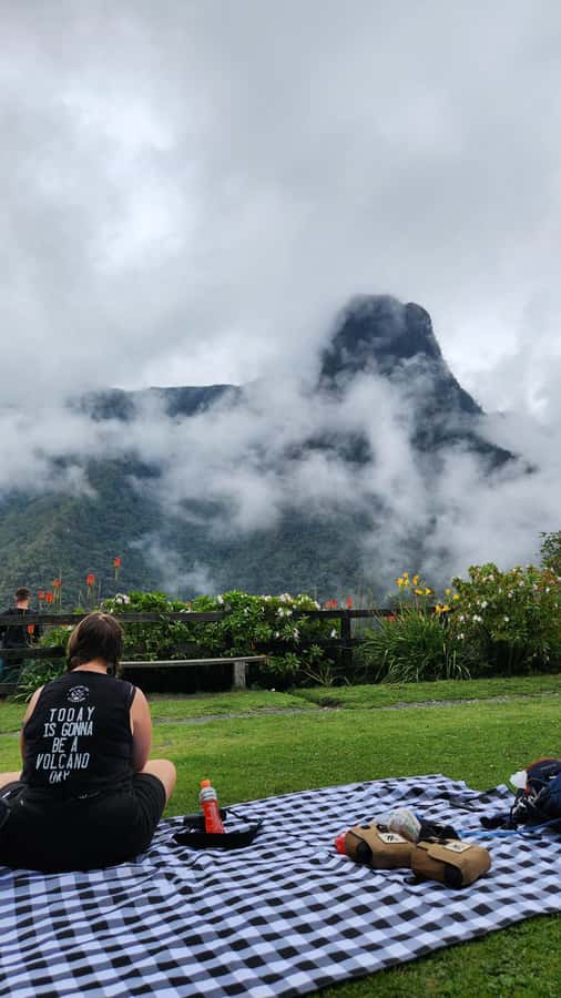 Cocora Valley: Route of the Hummingbirds + breakfast & lunch - How the price compares