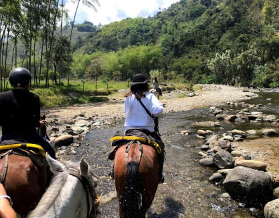 Cocora Valley: Salento & Private Horseback Riding Tour - Key points to know before you book