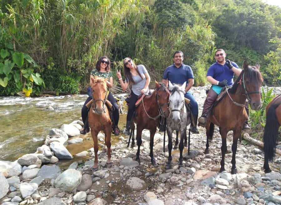 Cocora Valley: Salento & Private Horseback Riding Tour - What the $171 price really covers