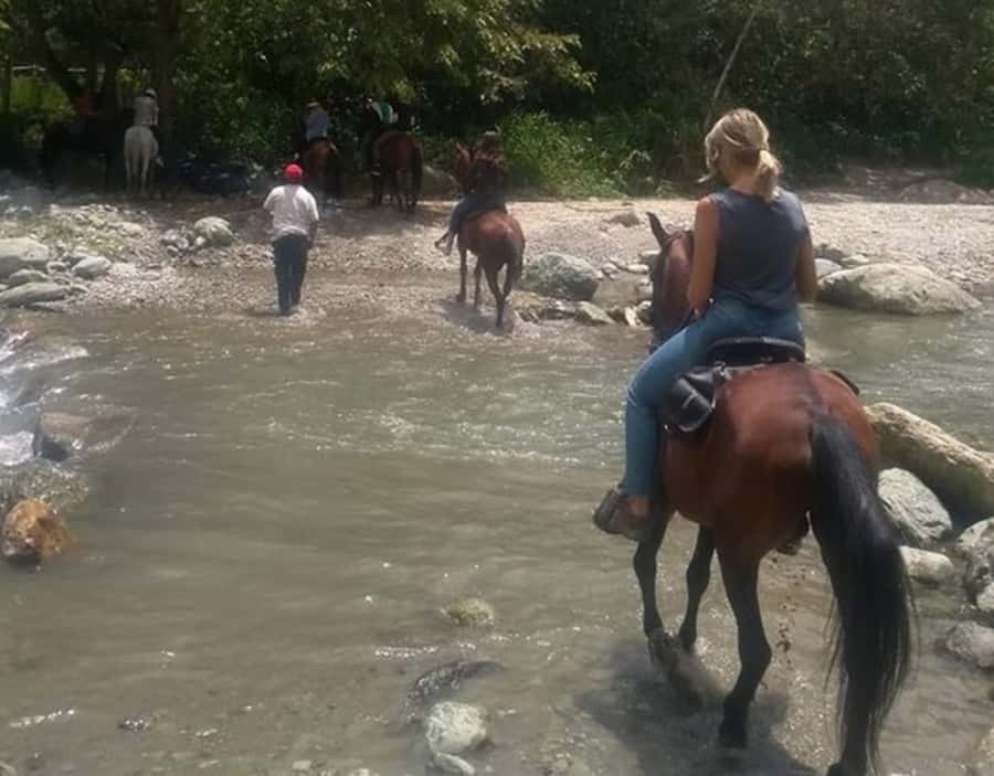 Cocora Valley: Salento & Private Horseback Riding Tour - Booking details that matter