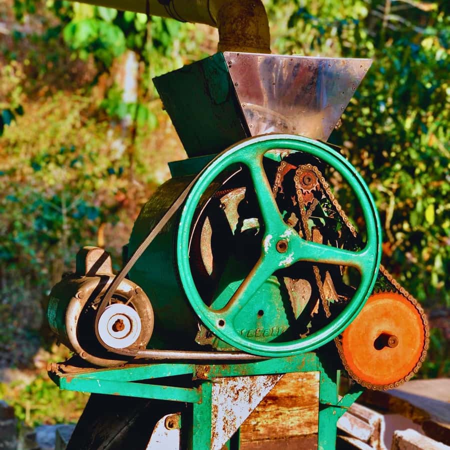 Coffee, Cocoa and Trekking Tour in Minca: Nature, Crops and Production - Tasting coffee, cacao, and the place itself