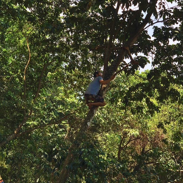 Coffee, Cocoa and Trekking Tour in Minca: Nature, Crops and Production - Waterfall time and a natural break