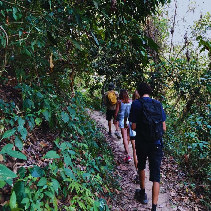 Coffee, Cocoa and Trekking Tour in Minca: Nature, Crops and Production - Views, farms, and the local story