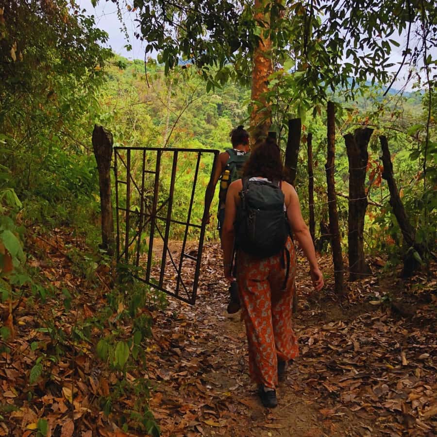 Coffee, Cocoa and Trekking Tour in Minca: Nature, Crops and Production - Starting at Minca Park and crossing the village