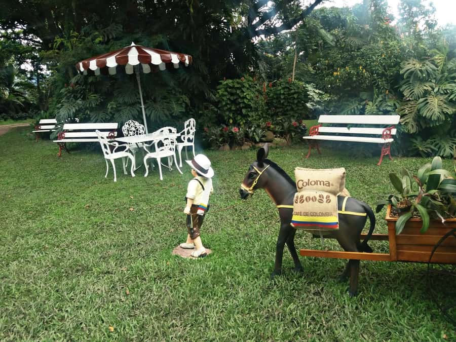 Coffee Experience: Hacienda Coloma Tour from Bogotá - Key points to know before booking