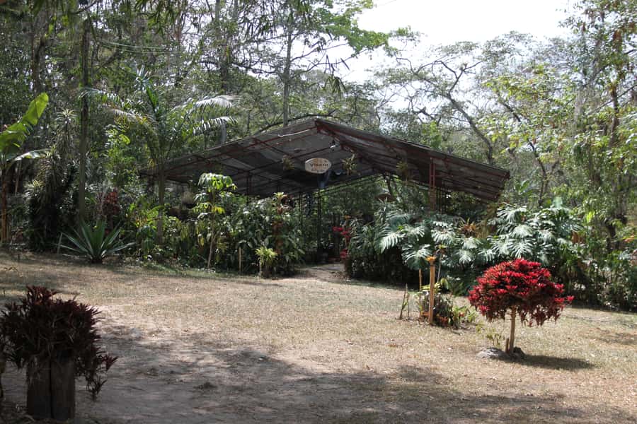 Coffee Experience: Hacienda Coloma Tour from Bogotá - Clothing, weather, and simple preparation
